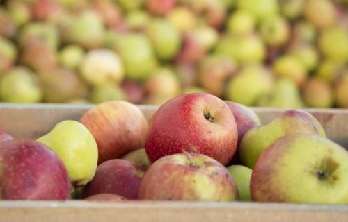 Manzana: la fruta preferida de los millennials