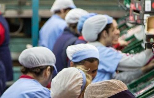 Propuesta para apoyar el desarrollo de la seguridad y soberanía alimentaria nacional