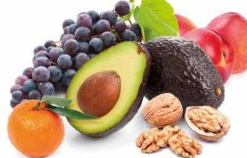 Seminario Nacional: «Fruticultura Sostenible, desafíos y oportunidades para la agricultura familiar campesina»