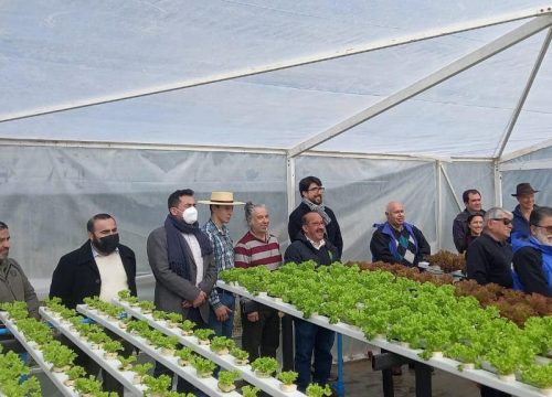 Hidroponía de la AFC