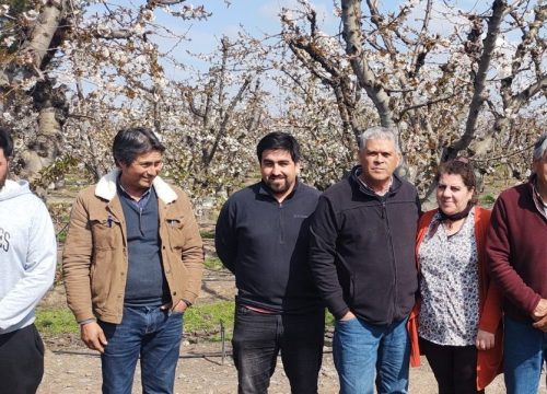 Cooperativas campesina agrofruticola rauco Ltda