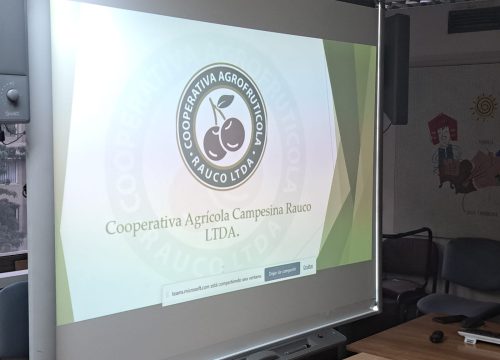 Mesa de la Fruticultura Familia Campesina INDAP-ODEPA