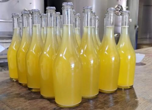 De la sequía a la innovación: vino espumante de Putaendo