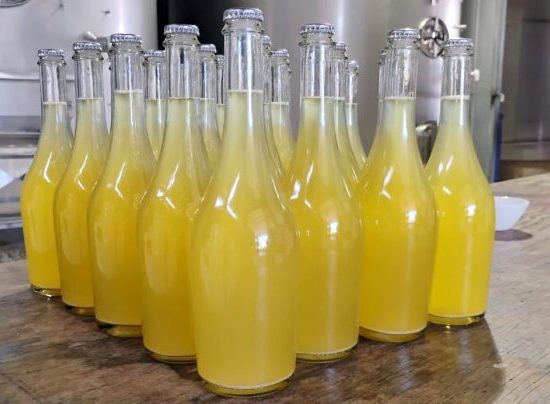 De la sequía a la innovación: vino espumante de Putaendo