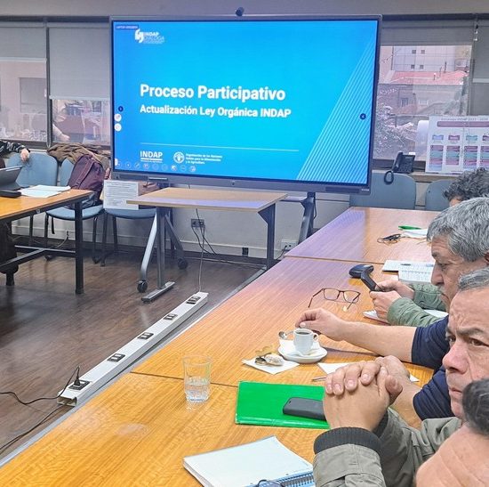 Propuesta de Fedafruc a la reforma de ley orgánica de INDAP