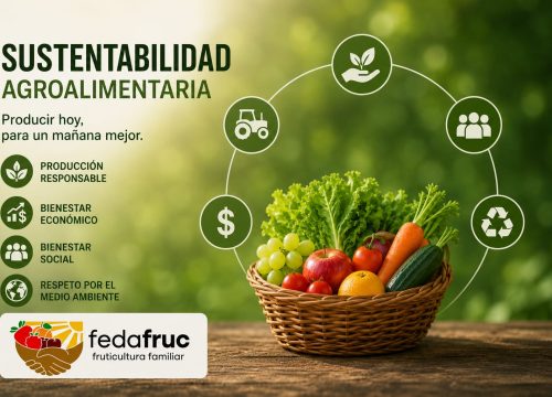 Entrevista a Don Danilo Gajardo Director Fedafruc sobre el impacto del cambio climático en la Agricultura Familiar Campesina