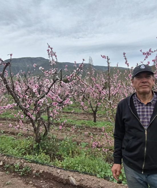Historias del Campo: La voz de nuestros agricultores
